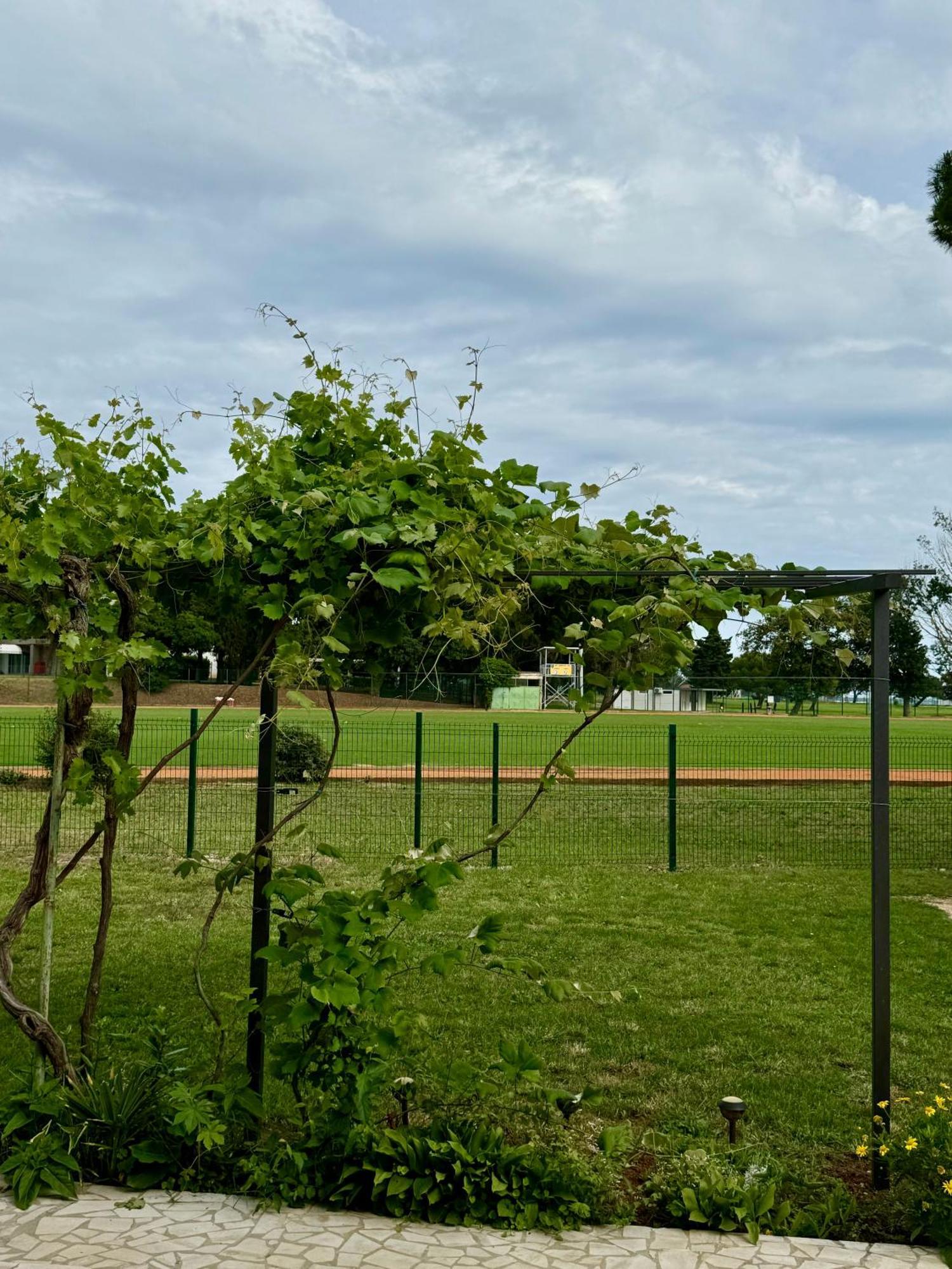 Apartment Enna A Meerblick Perfect Location Medulin